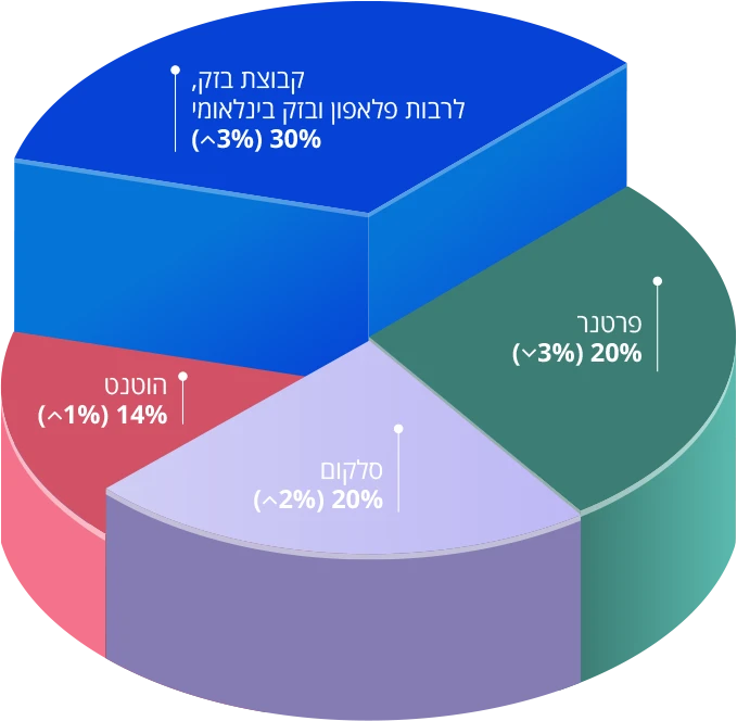 גרף עוגה המציג את נתחי השוק של הספקיות הגדולות - גרף מס'5