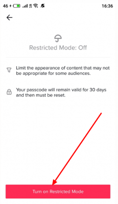 יש ללחוץ על "Turn on Restricted Mode".